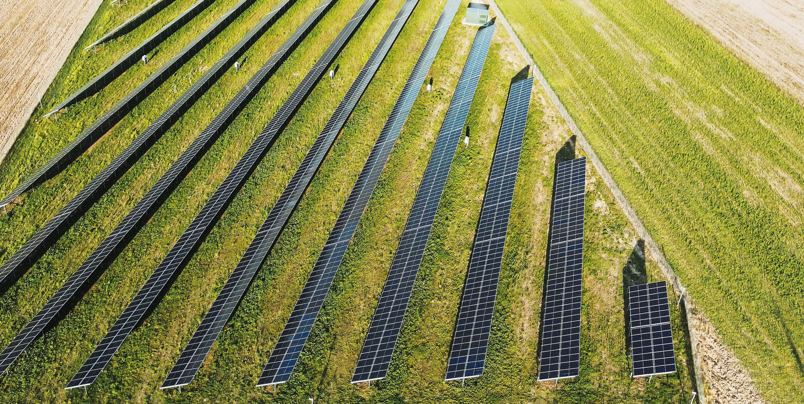 Agrosolarstvo Background